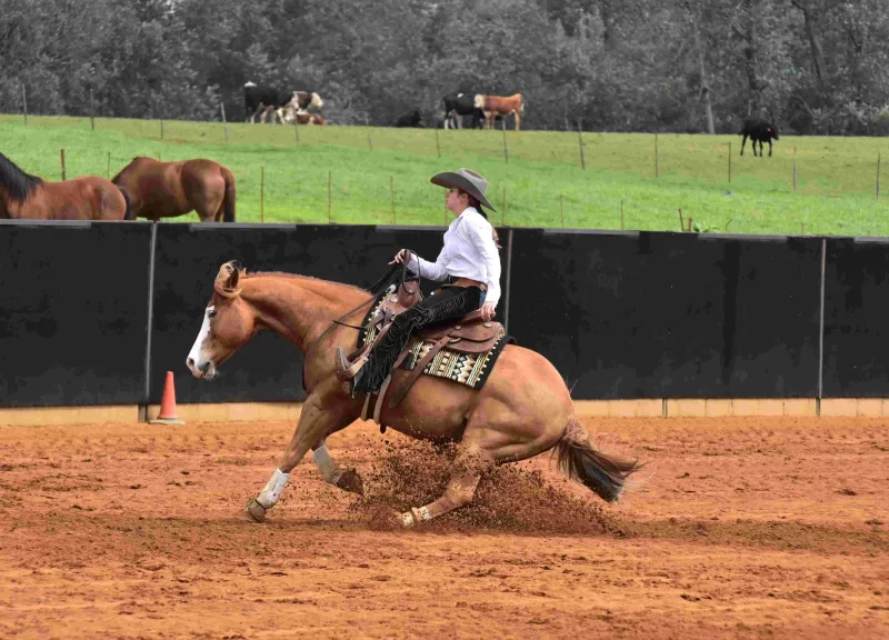 Spike Bridleless