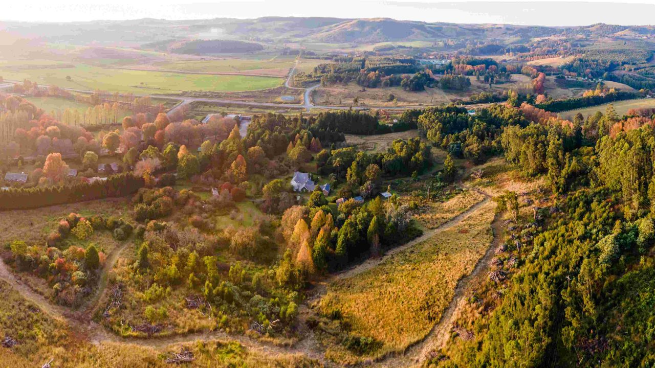 Designing a Well-Lived Life