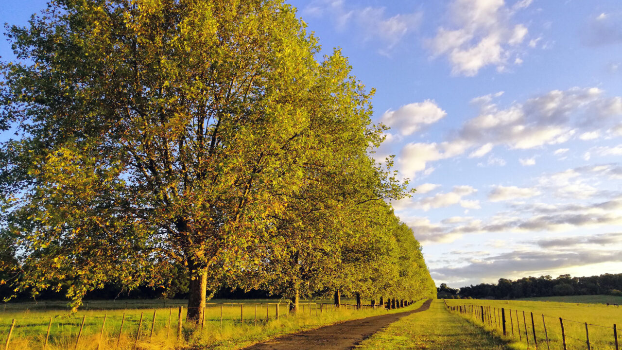 Midlands My Home Town