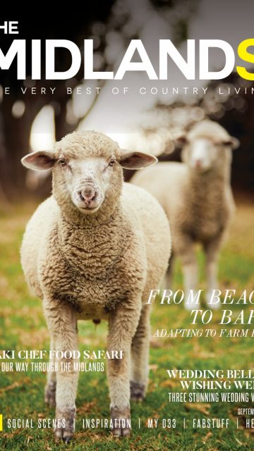 Celebrating 30 Editions